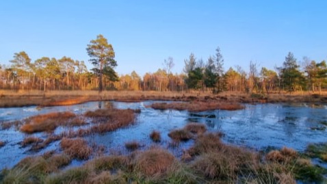 Freizeitangebote und Ausflugsziele in der Umgebung von 27419 Klein Meckelsen  bei Sittensen in Rotenburg Wümme Niedersachsen