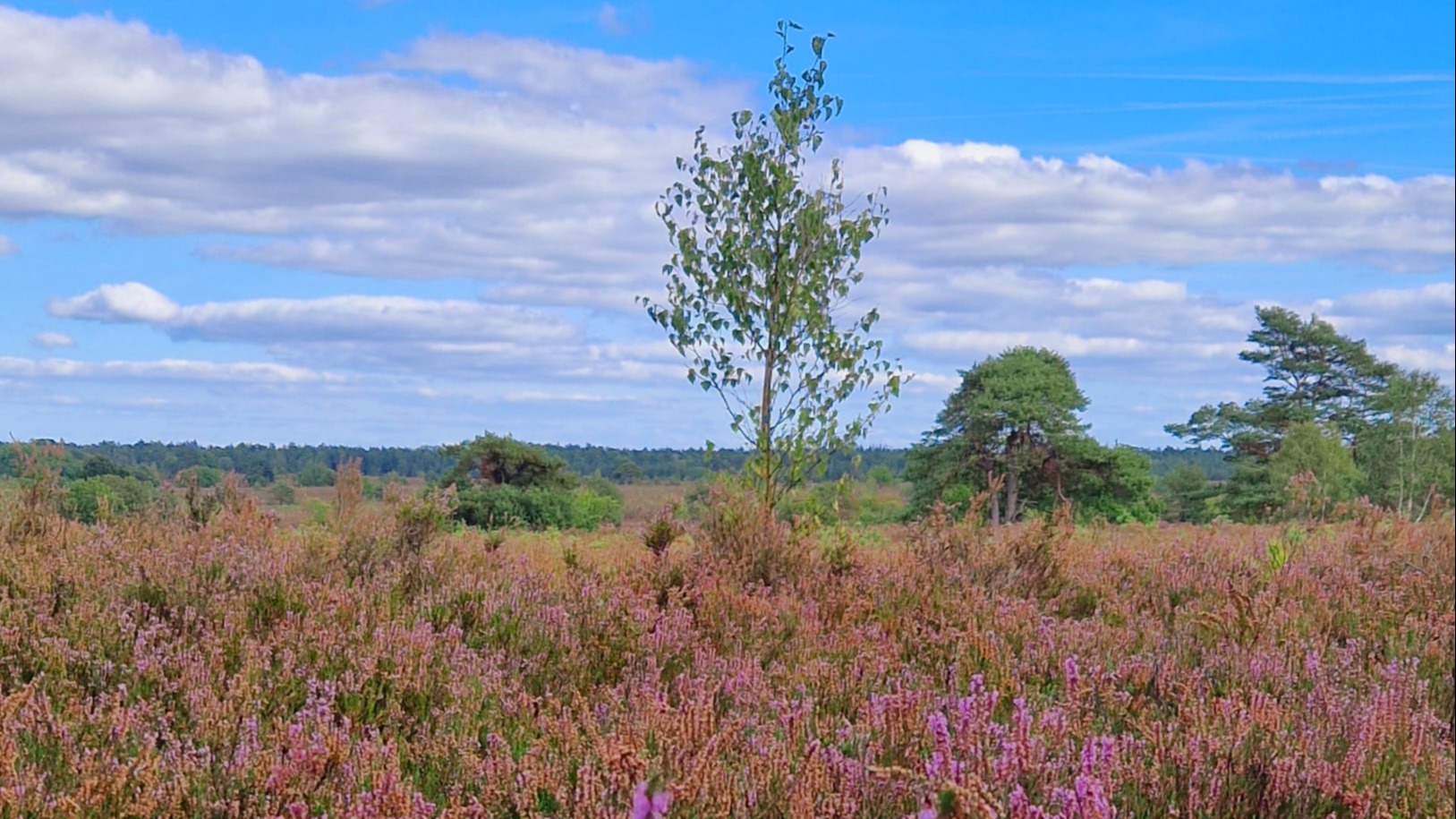 Freizeitangebote und Ausflugsziele in der Umgebung von 27419 Klein Meckelsen  bei Sittensen in Rotenburg Wümme Niedersachsen